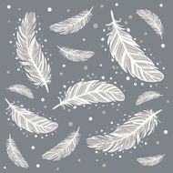 Silver Feather