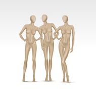Vector Set of Isolated Female Mannequins N3