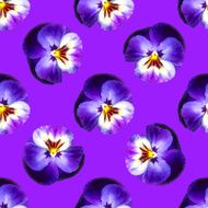 Seamless pattern with pansies