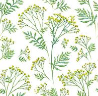 Seamless flower with leaf pattern background N6