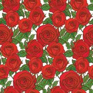 vector pattern with roses N8