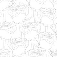 beautiful black and white seamless pattern in roses with contours N2