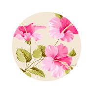 Flower hibiscus N3