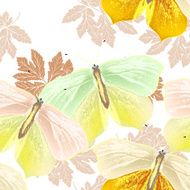 Floral seamless wallpaper pattern with butterflies