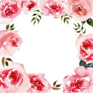 Roses watercolor