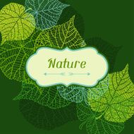 Background of stylized green leaves N3