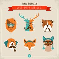 Cute fashion Hipster Animals &amp; pets N5