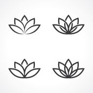 lotus symbol N3