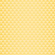 Hipster triangle pattern N10