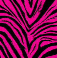 pink zebra fur