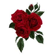 Red roses rosebuds and leaves Vector illustration
