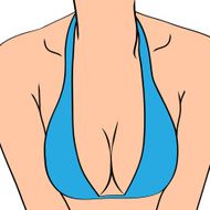 Female sexy breast