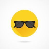 Vector Sunglasses Icon N4