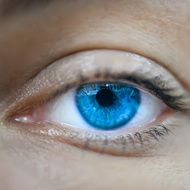 Blue female eye macro Vector