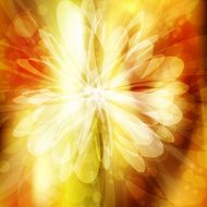 Abstract flower N7