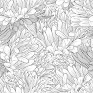 black and white seamless background with flowers aster