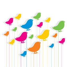 creative colorful bird background design