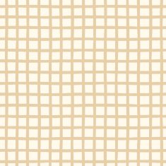 Seamless pattern with checkered geometric texture N23