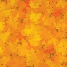 Autumn abstract background with leaf N21
