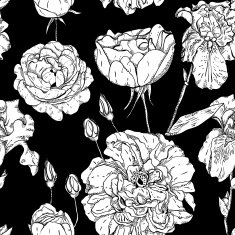 Seamless pattern of roses monochrome