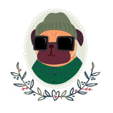 Fashionable pug-hipster in sunglasses