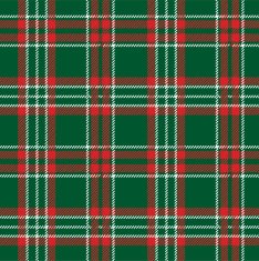 Traditional tartan seamless pattern N2