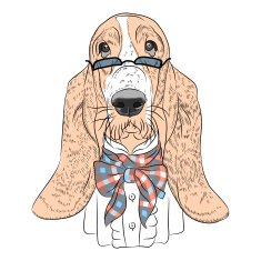 vector funny cartoon hipster dog Basset Hound N2