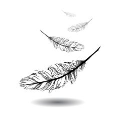 flying feathers with white background EPS 10