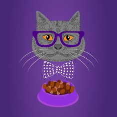 Hipster Cat N8