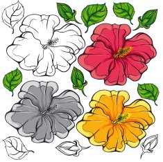 Hibiscus Flower Vector N5