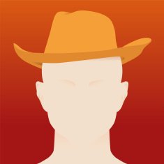 Cowboy N17