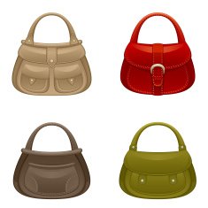 Women bag set