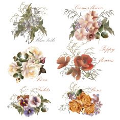 Collection of vector realistic flowers in watercolor style N2