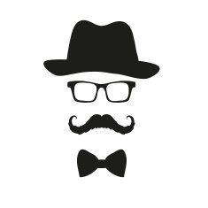 Fashion silhouette hipster style vector illustration N30