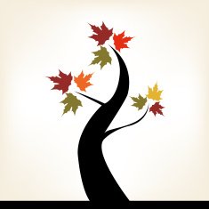Autumn Tree N22
