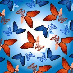 Butterflies flying N3