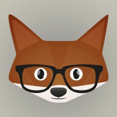 Fox avatar N2