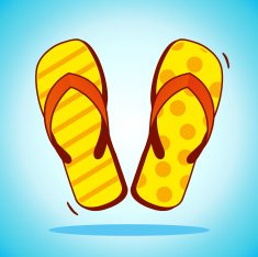Vector beach slippers