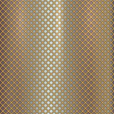 Vector gold grille on steel background