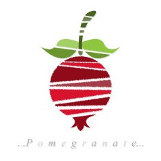 Vector of fruit pomegranate icon