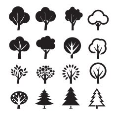 Set of vector tree N2