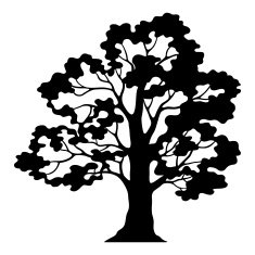 Oak Tree Pictogram Black Silhouette and Contours