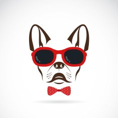 Vector images of dog (bulldog) wearing sunglasses on white background