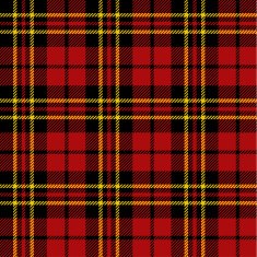 Seamless tartan pattern N38