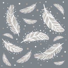Silver Feather