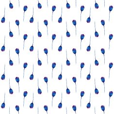 Seamless pattern with poppies N6