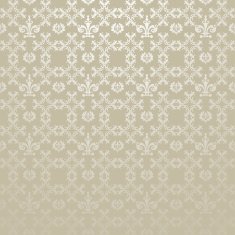 silver wallpaper in old style N16