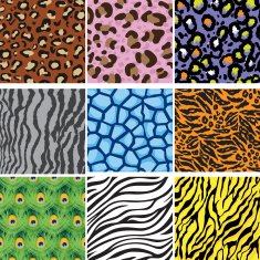 Animal Skin Print Set