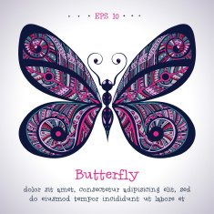Vivid ornamental hand drawn vintage vector butterfly N2