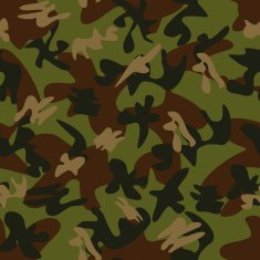 Camouflage seamless pattern N7